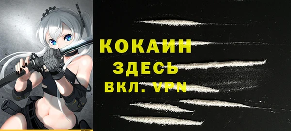 винт Верея