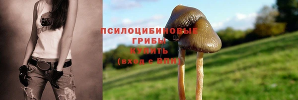 амф Волоколамск
